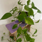 Blumenhocker "ADA"