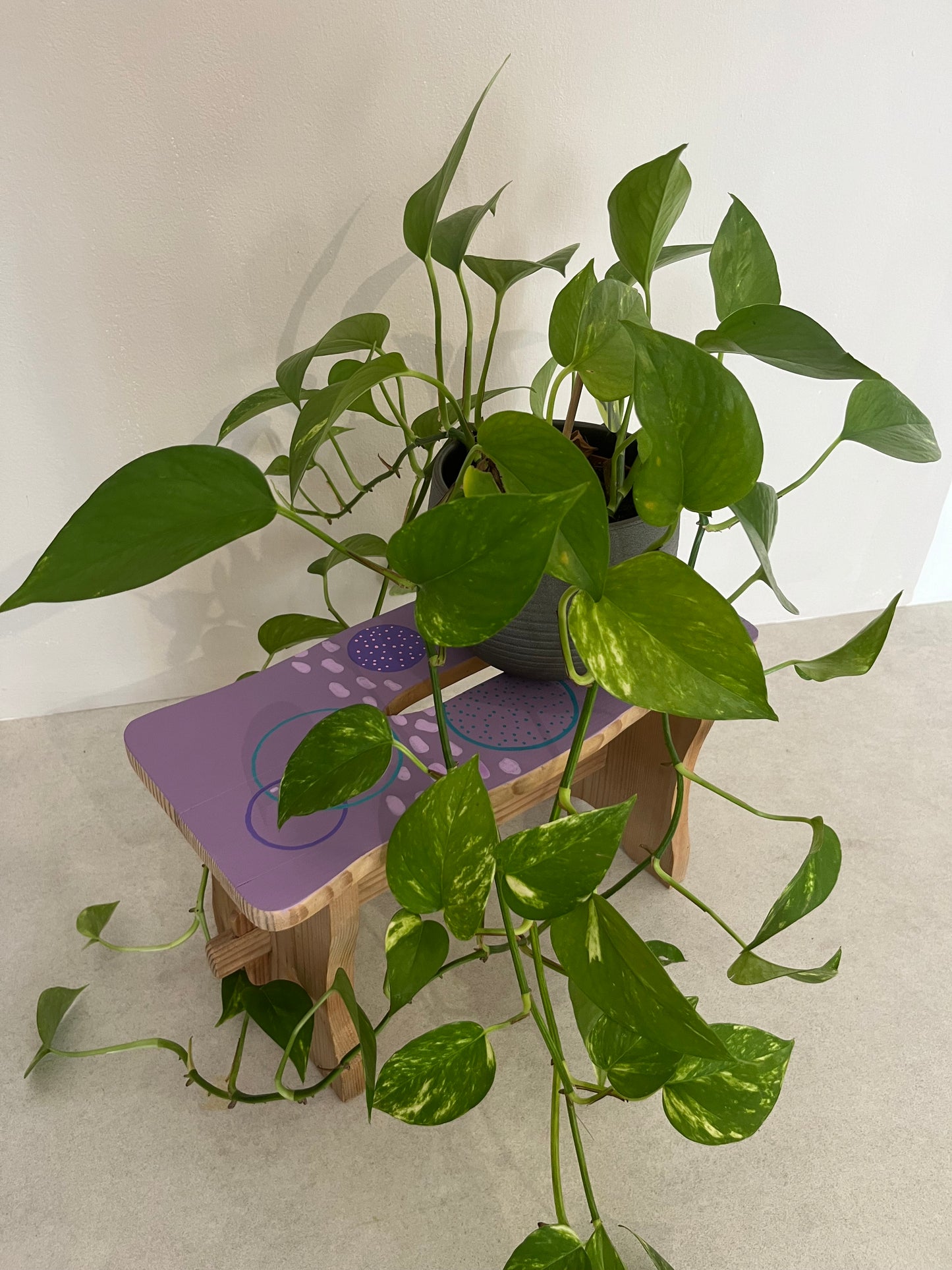 Blumenhocker "ADA"